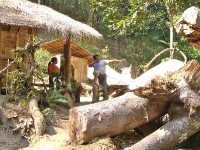 Hiking in Thailand